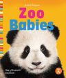 Zoo Babies Sale