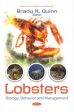 Lobsters Online Hot Sale